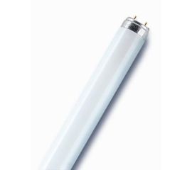 OSRAM