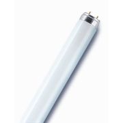 Лампа линейная 18Вт Osram Т8 6500к G13