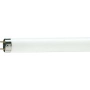 лампа Philips tld 36watt\g13