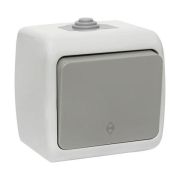 Выключатель 1кл проход. Мурманск IP54 10A серый EKF