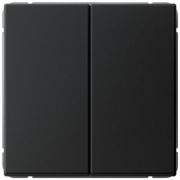 Выключатель 2-кл. ArtGallery 10AX быстрозажим. клем. механизм карбон SE GAL001051S